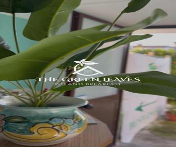 The Green Leaves