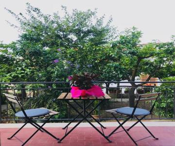 B&B Miccio