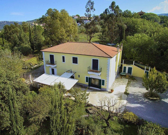Lamione Da Dorotea