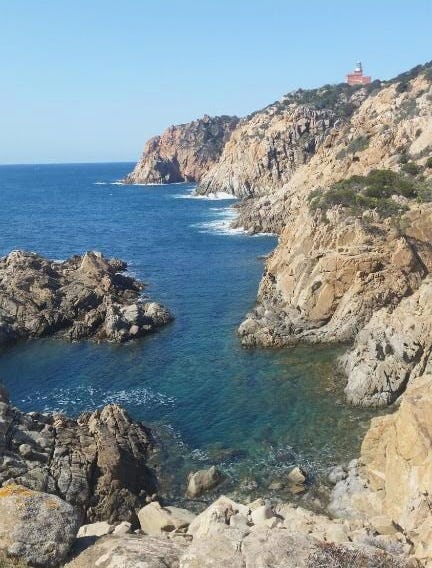 L'Onda Blu