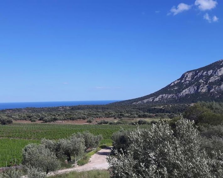 Agriturismo Su Barcu
