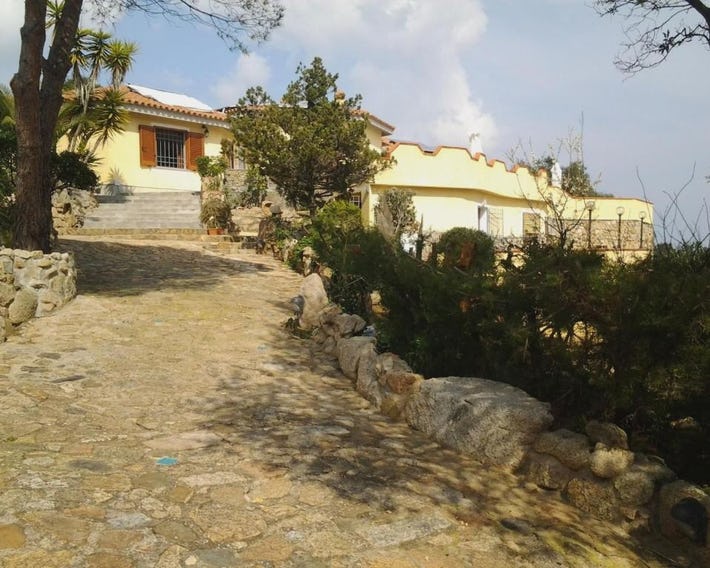 La Fonte dell'ulivo 3