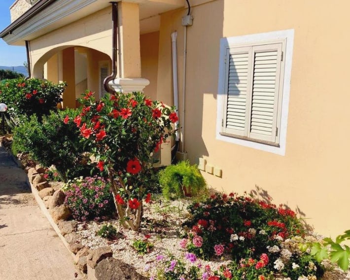 Casa Dolce Hibiscus