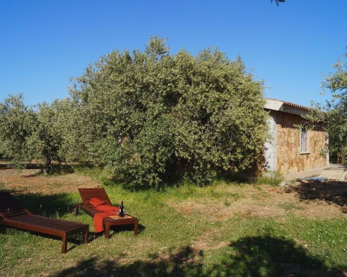 Sa Tanca de Mannoi