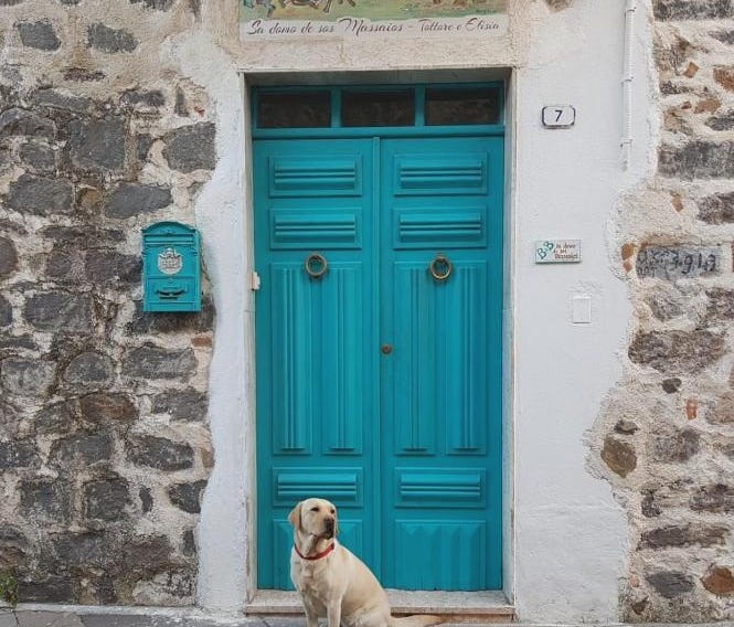 B&B Sa domo de sos Massaios