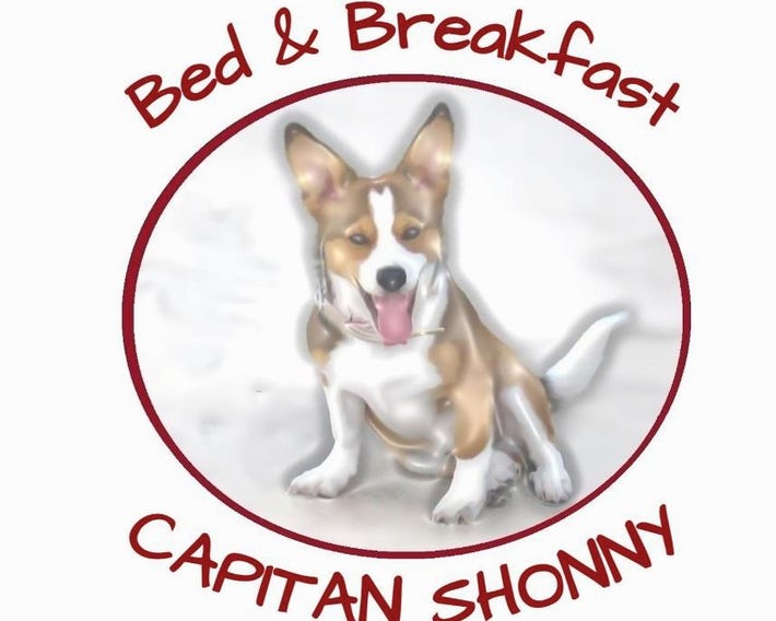 Capitan Shonny
