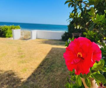 Beach Loft Poetto
