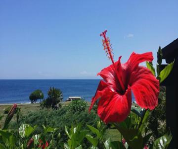 Sogno sul mare