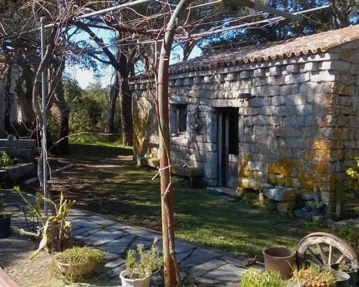 Agriturismo La Vigna