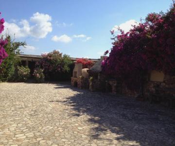 Agriturismo Il Ruscello