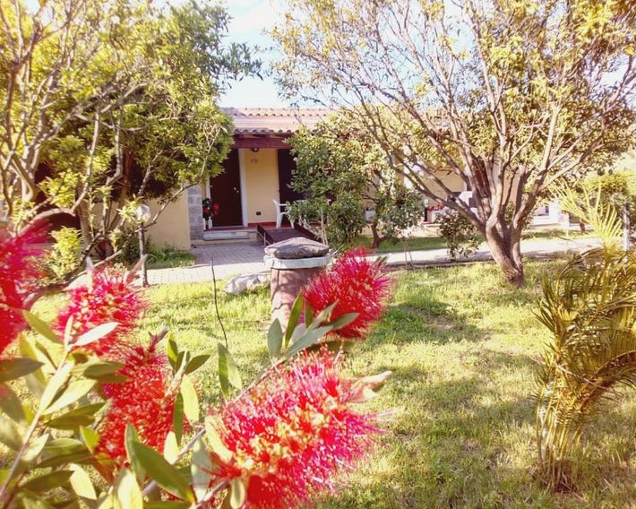 Su Pasu