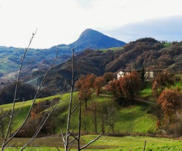 Agriturismo La Borgaccia