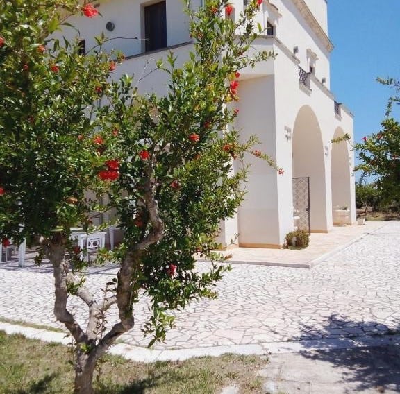 Tenuta degli Agrumi