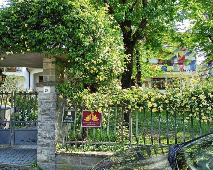 Butterfly B&B