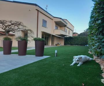 Montevecchi13