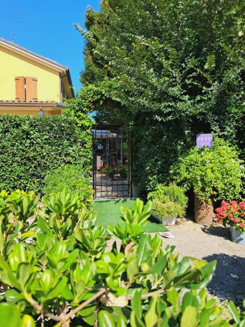 Hebe Home Riccione