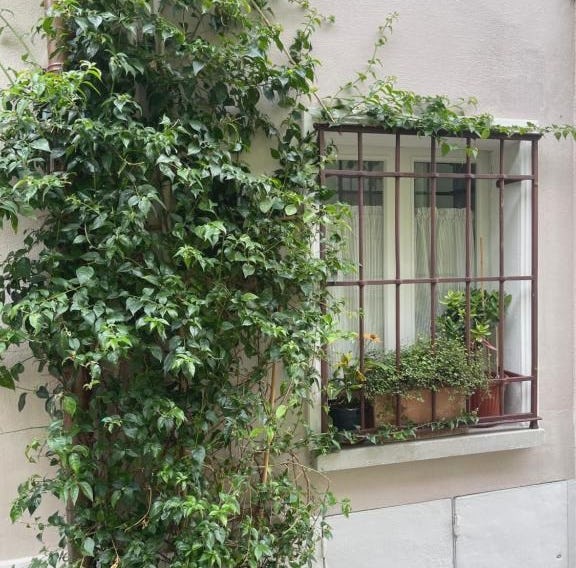 Casa Gastone