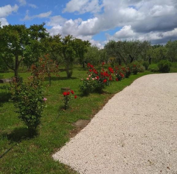 Casa Vacanze Le Rose
