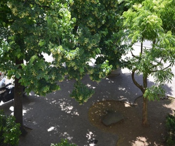 B&B Appio Claudio Tre