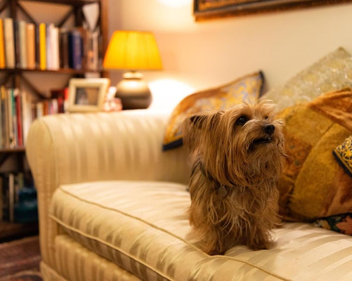 B&B La Scalinatella Roma