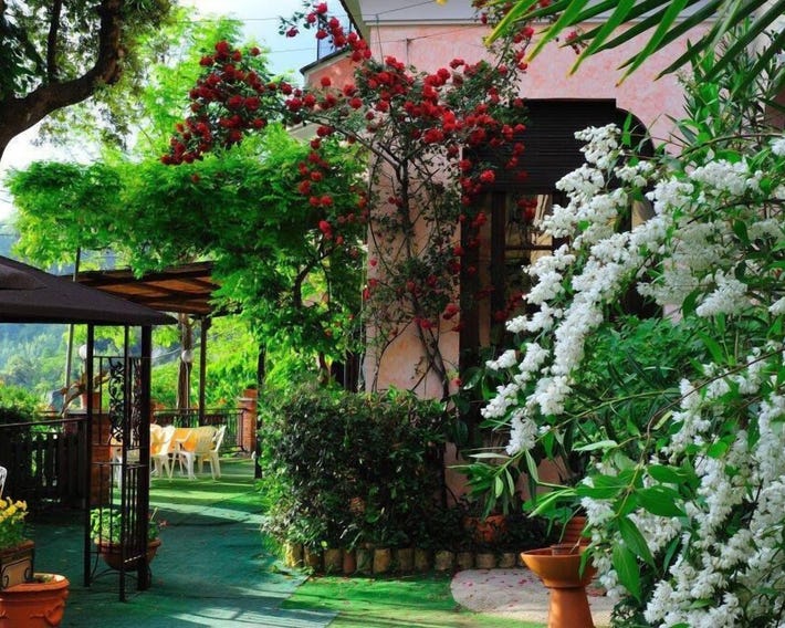 Belvedere