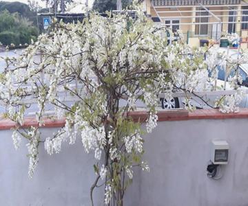 Le Bagnanti Di Miro'