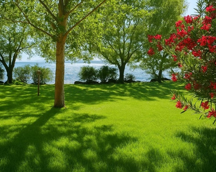 Camping Internazionale Lago di Bracciano
