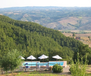 L'Albero Bianco