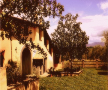 Il Maremmano