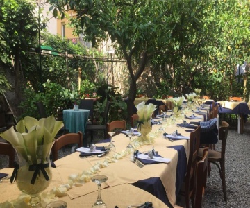 Hotel Mimosa