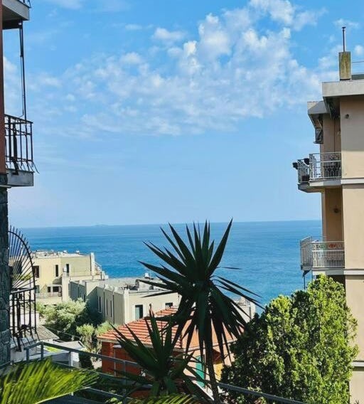 Casa Mirosa