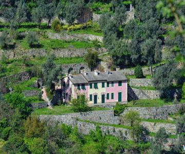 Villa Olivari - Apt Il Cedro