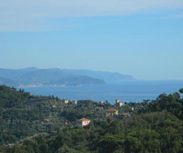 Monolocale Fattorialmare Gialla