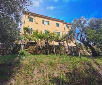 la cascina tra gli ulivi