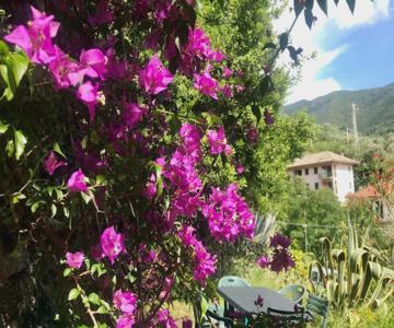 La casa Bouganville a Moneglia, 10 min a piedi dal mare