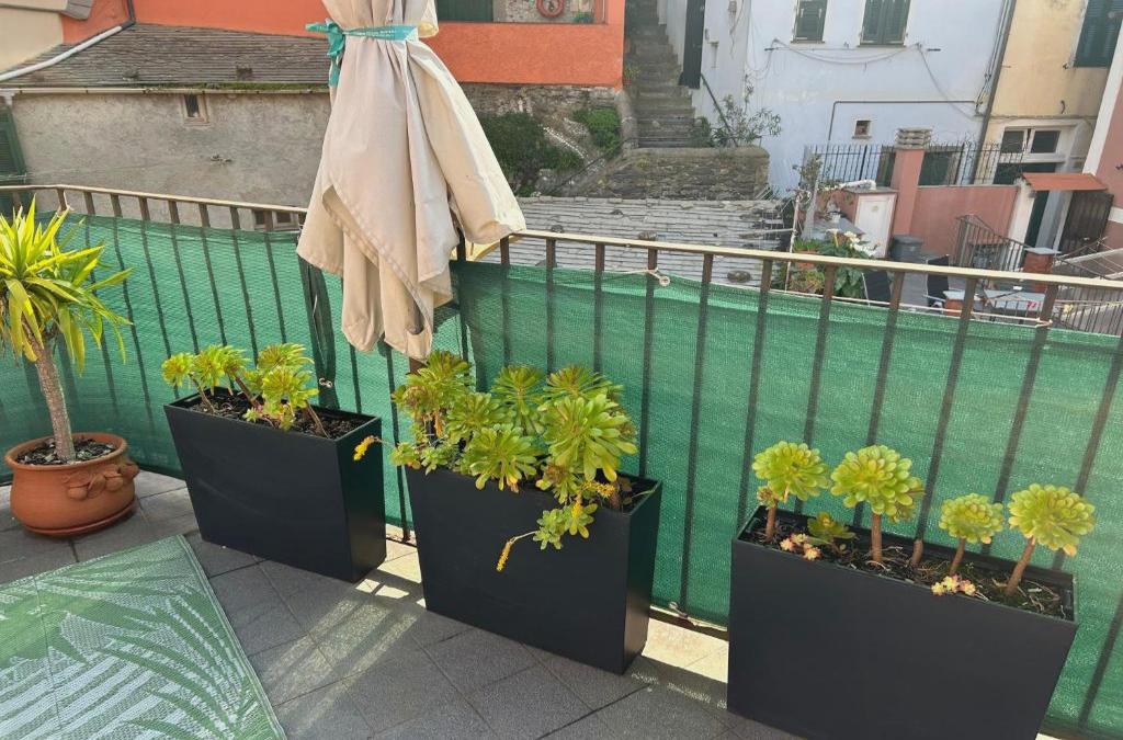 El Nin Apartment With Terrace