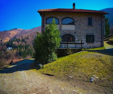 Il Larice