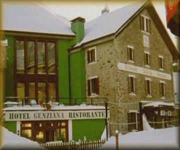 Genziana