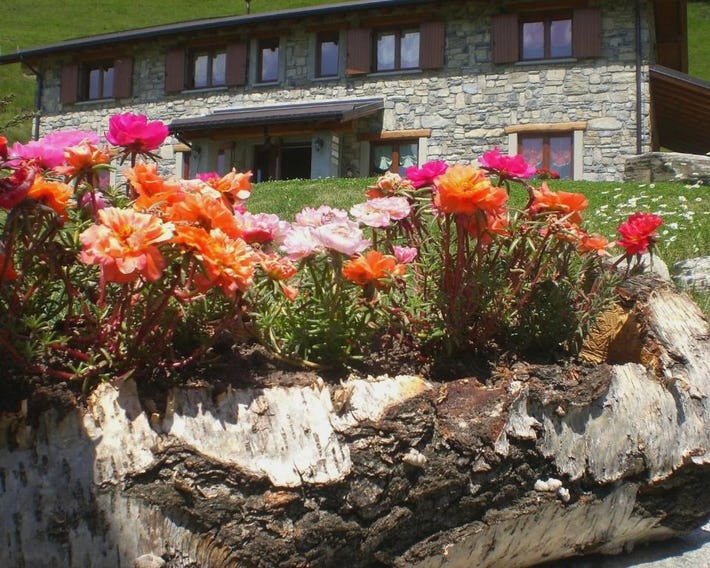 Agriturismo Le Radici