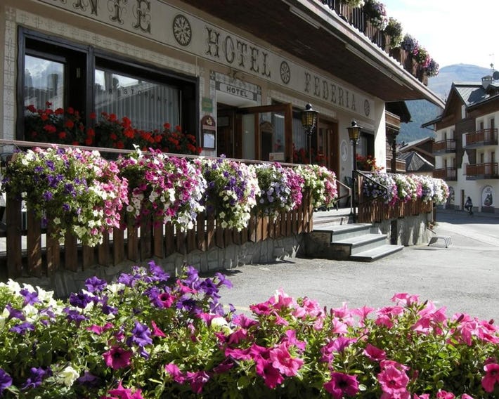 Hotel Federia