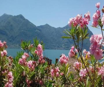 Casa Vacanze Da Graziella