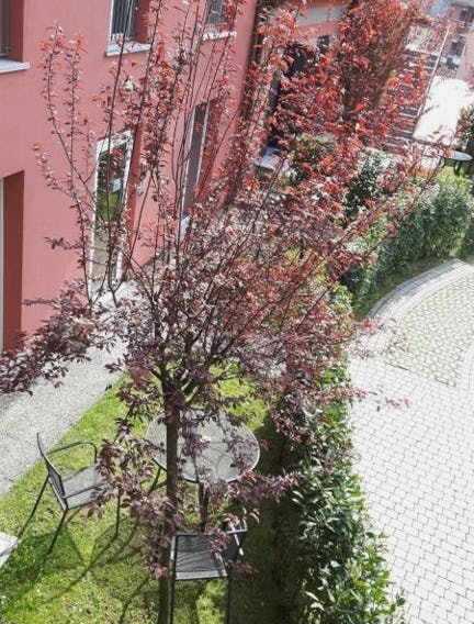 Residenza XX Settembre