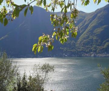 Casa privata con splendida vista lago "Il Gallicantus"