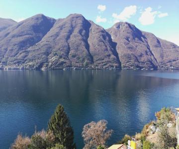 Giardino sul lago, La Vigna