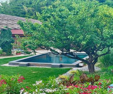 DeLax B&B - adults only