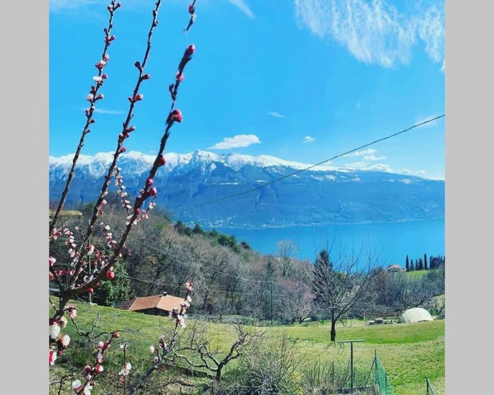 VillaTullia Ferienhaus mit Seesicht Gardasee