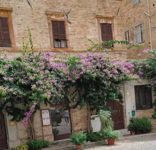 ATTICO SULLA BOUGANVILLE (Albergo diffuso)