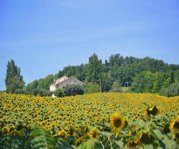 LE PIUME B&B