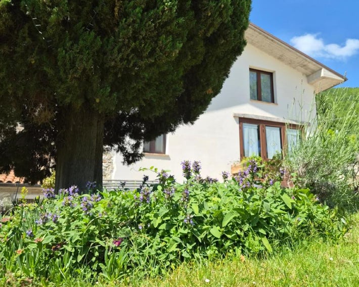 Agriturismo Vallonga