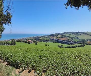 Casa vacanza del Cavallo